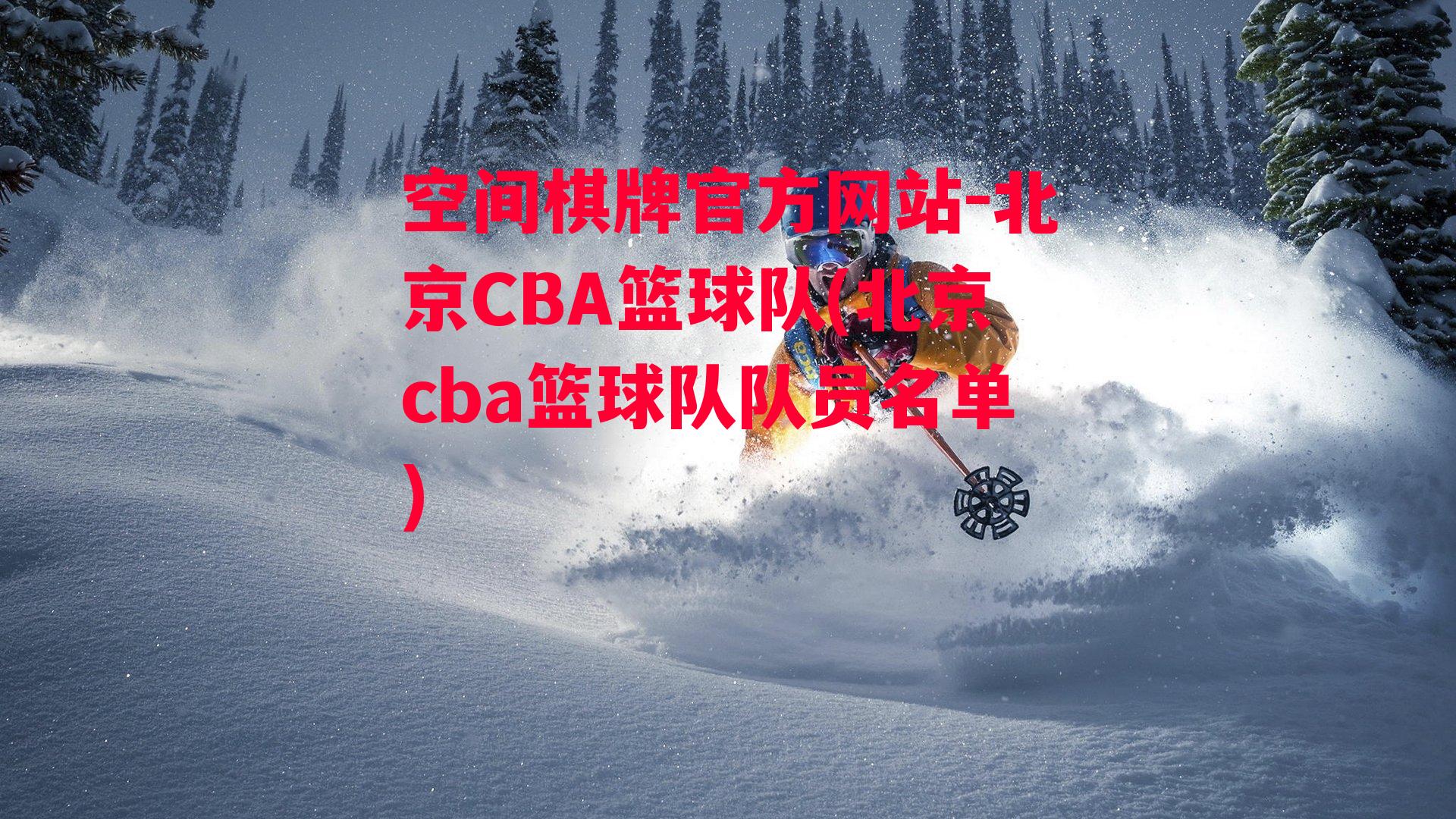 北京CBA篮球队(北京cba篮球队队员名单)